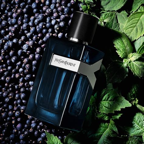 ysl y ingredients|ysl eau de toilette.